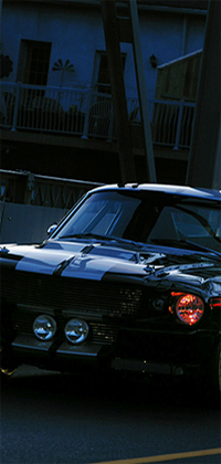 Top Professional Wedding Photographer in Guelph, Ontario.